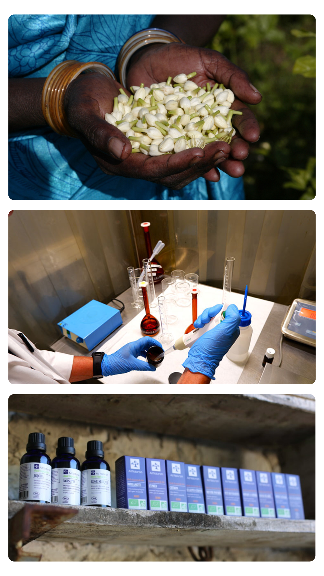 Ad Naturam 品牌介紹