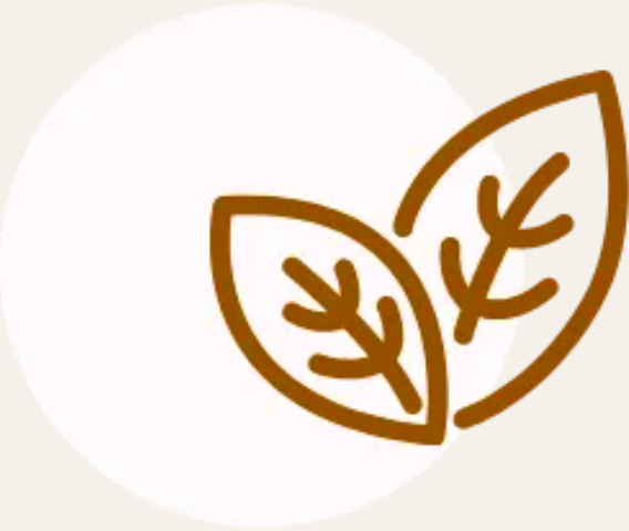 有機栽培與產地選擇