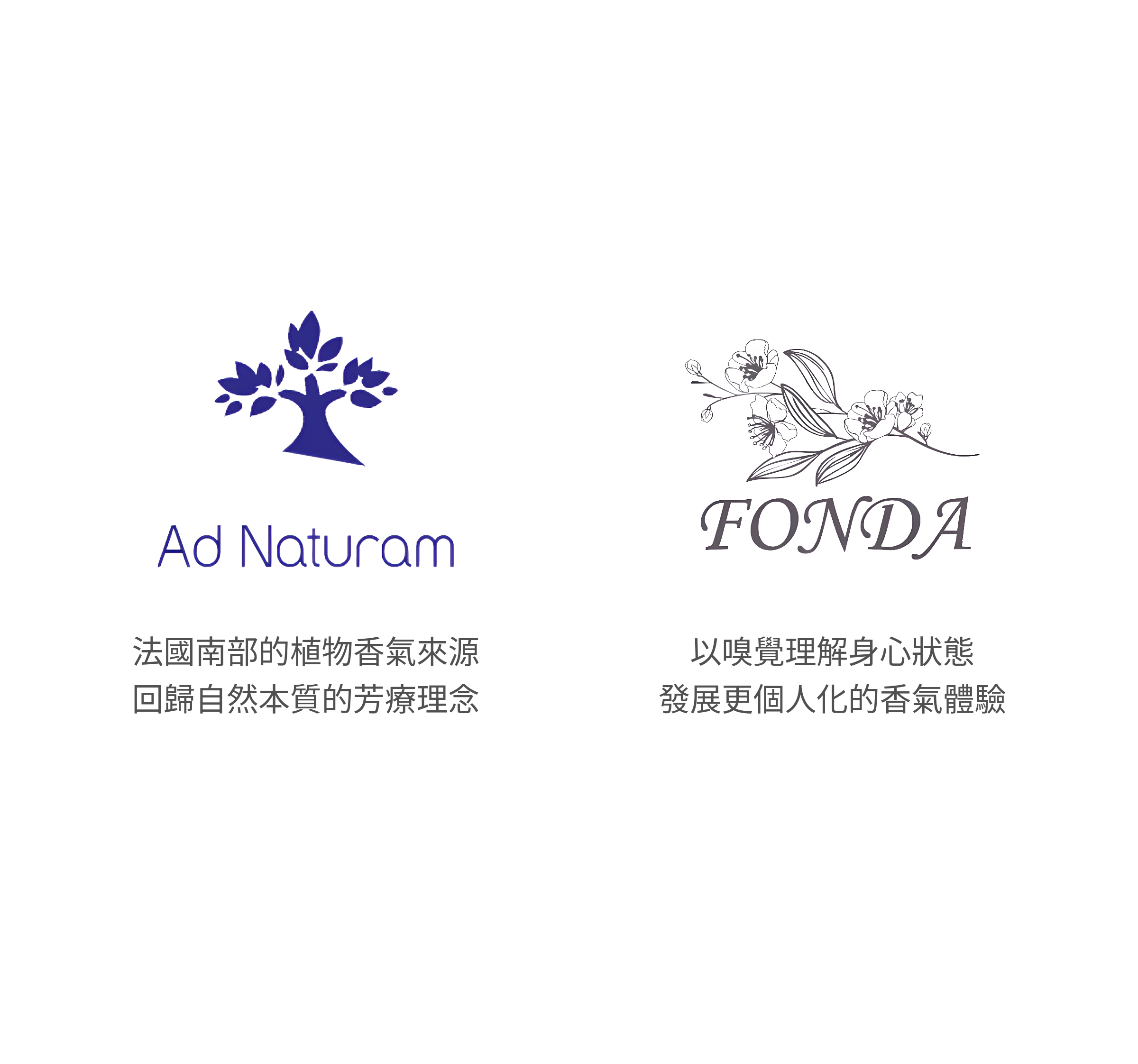 Ad Naturam 與 AromaFonda 的關係圖