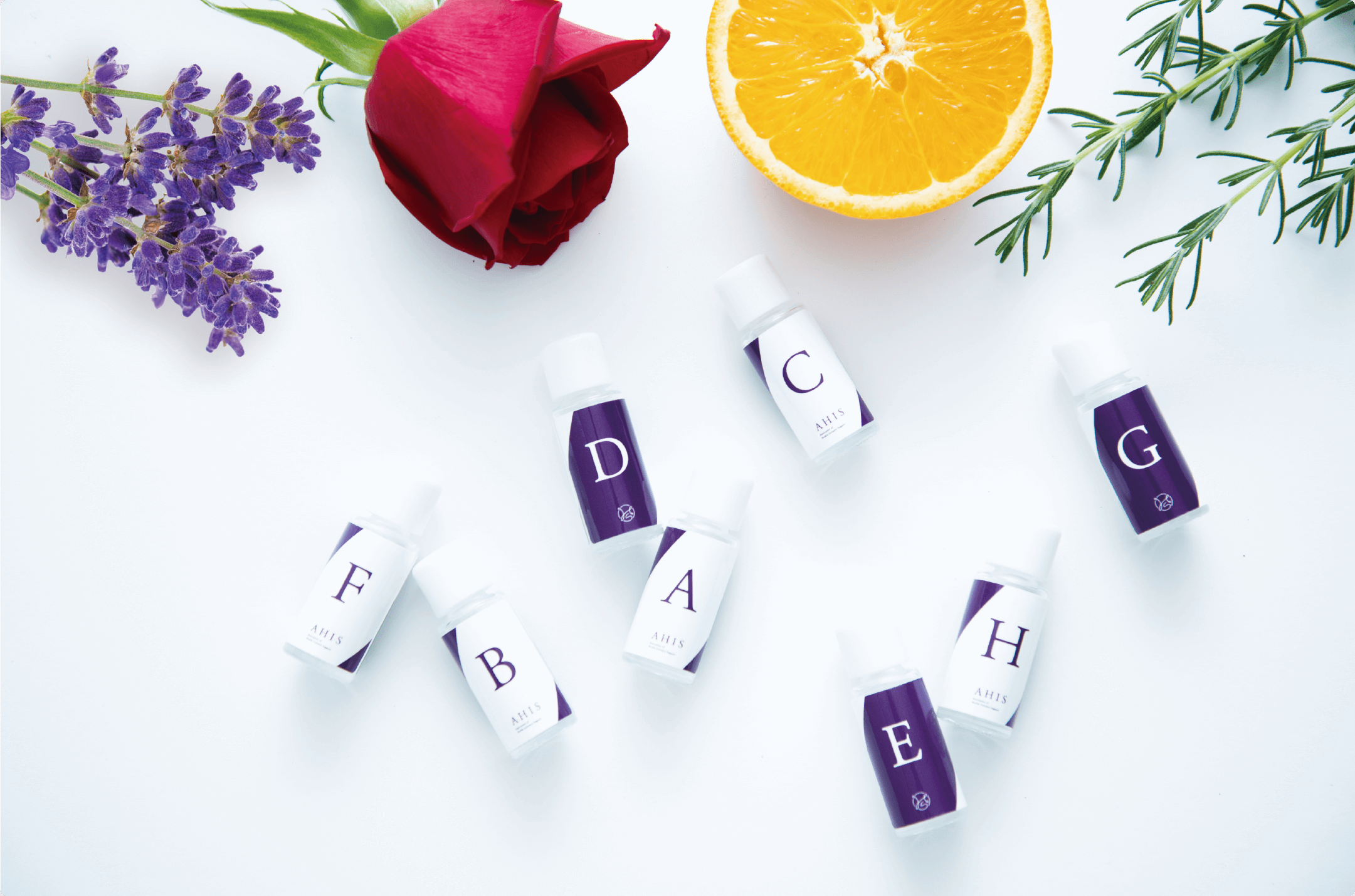 日本嗅覺反應分析